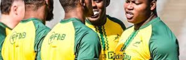 Springboks...