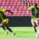 SA Rugby release statement on Ellis Park ticket sales