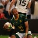 Springbok debutants show their class in win over Wales