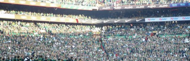 Springboks-All-Blacks-haka