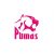 Troy Delport Pumas