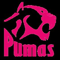 Banie Britz Pumas