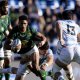 What Rassie Erasmus learnt from the win over Argentina