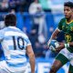 Boks switch their focus to All Blacks and RGR