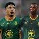 Four Springbok flyhalves | Who should start?