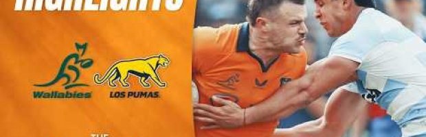 Wallabies v Argentina Highlights