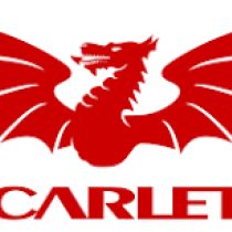 Gabe Cahsay Scarlets