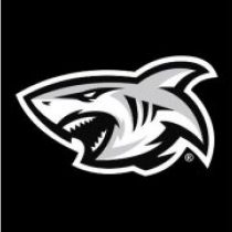 Siphosethu Mnebelele Sharks