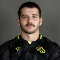 Giorgi Spanderashvili The Black Lion