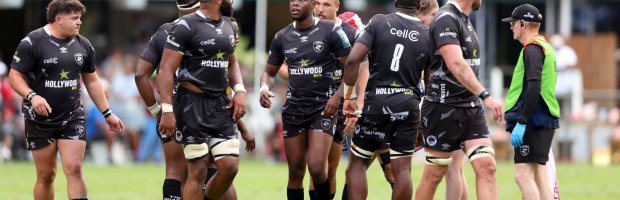 Hollywoodbets Sharks