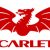 Gabe McDonald Scarlets