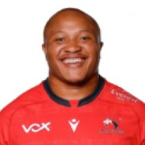Eddie Davids Lions