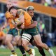 All Blacks extend streak over the Wallabies to 13 games