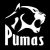 Lubabalo Mtyanda Steval Pumas