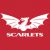 Josh Middleton Scarlets