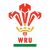 Rory Thornton Wales U20's